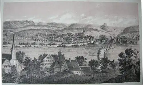 Nürtingen Souvenirblatt Gesamtansicht 9 Teilansichten Orig Lithografie 1869