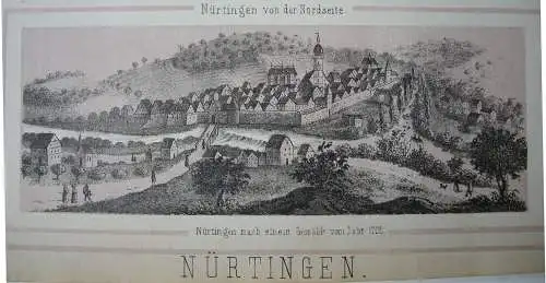 Nürtingen Souvenirblatt Gesamtansicht 9 Teilansichten Orig Lithografie 1869