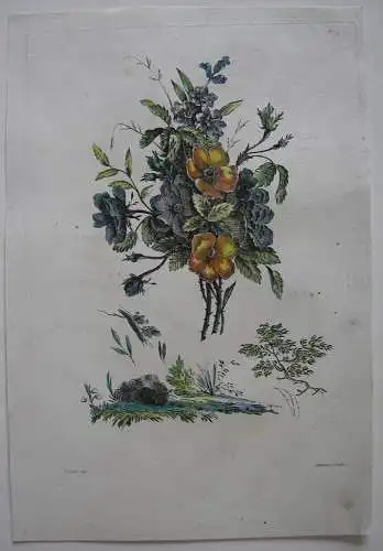 Nelken kolor Orig Kupferstich in Crayonmanier Auvray nach Naudet 1790 