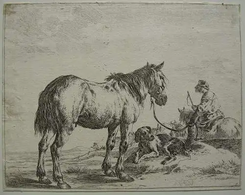 Dirck Stoop (ca. 1618-1681) reitender Hirte mit Pferd Orig. Radierung um 1650