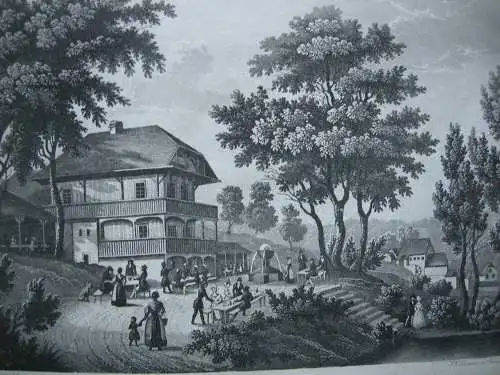 Ansicht Wolfsbrunnen Heidelberg Orig. Aquatinta-Radierung Tanner um 1830