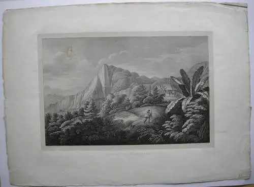 Chile Hacienda de Cassapi Orig Lithografie 1834 Sedlmayr