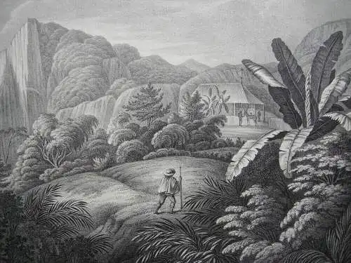 Chile Hacienda de Cassapi Orig Lithografie 1834 Sedlmayr