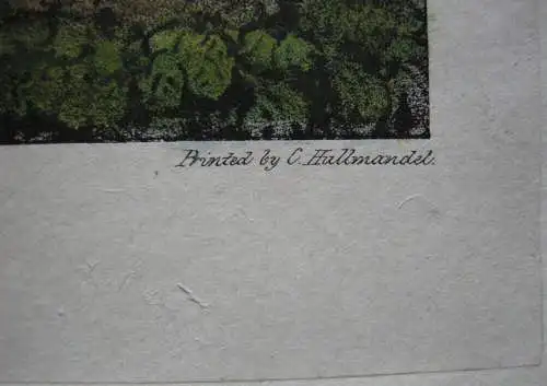 Köhlerhütte in Boppard Rheinland-Pfalz Orig Farblithografie Hullmandel 1825
