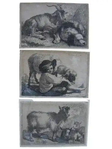 Francesco Londinio (1723-1783) Hirtenjunge Ziegen Schaf Hund 3 Radierungen 1758