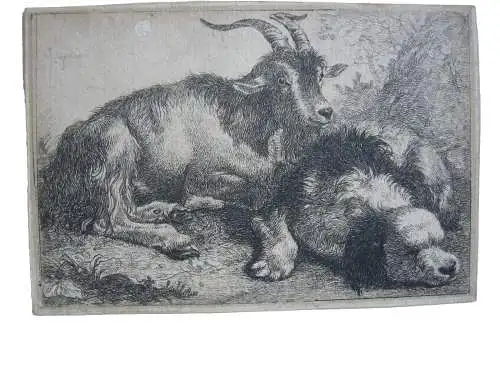 Francesco Londinio (1723-1783) Hirtenjunge Ziegen Schaf Hund 3 Radierungen 1758