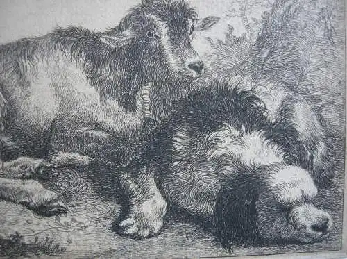 Francesco Londinio (1723-1783) Hirtenjunge Ziegen Schaf Hund 3 Radierungen 1758