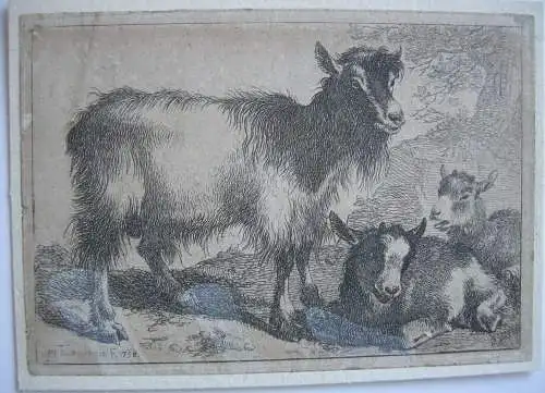 Francesco Londinio (1723-1783) Hirtenjunge Ziegen Schaf Hund 3 Radierungen 1758