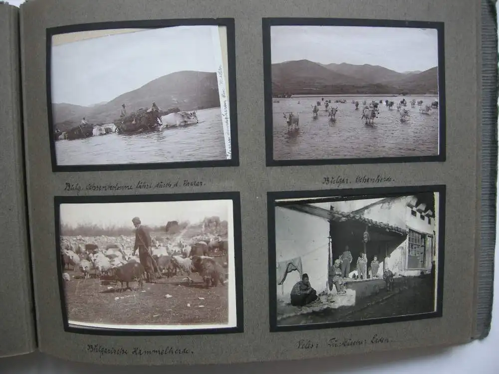 Fotoalbum 1. Weltkrieg Belgrad Serbien Bulgarien Veles Üsküb Türkei Ungarn 64 Fo 13