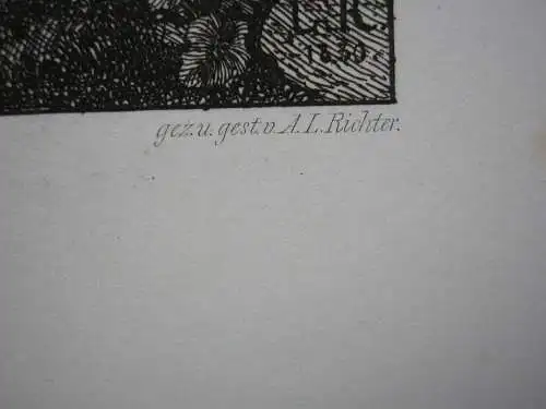 Ludwig Richter (1803-1884)  Bajae Baiae Orig Radierung 1875 Italia Neapel