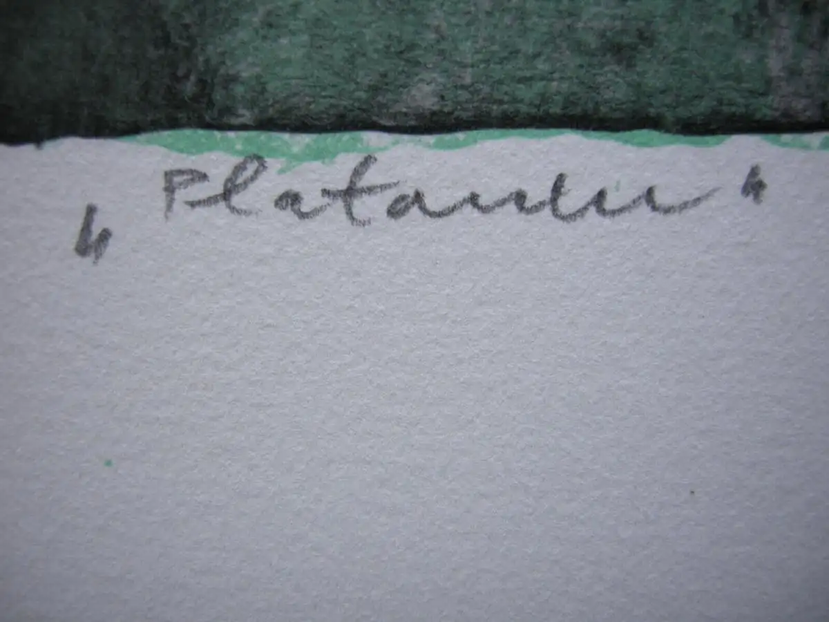 Oskar Koller aquarellierte Lithographie Platanen signiert 1985 4