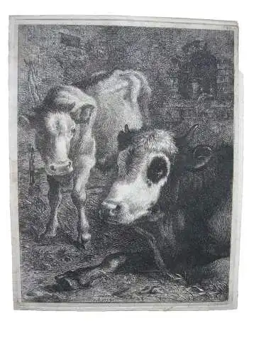 Francesco Lpondonio (1723-1783) Kuh mit Kalb im Stall Orig. Radierung 1759