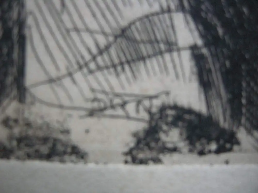 Anders Zorn (1860-1920) Portrait Madame Simon II Orig. Radierung 1895 4