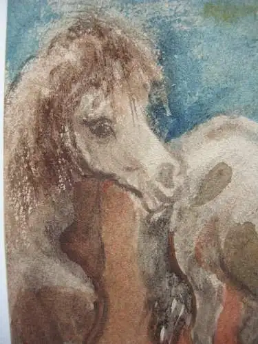 Kurt Meyer-Eberhardt (1895-1977) Vier Ponys Orig. Aquarell monogrammiert 1950