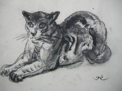 Kurt Meyer-Eberhardt (1895-1977) Liegende Katze Kohlezeichnung monogr 1950