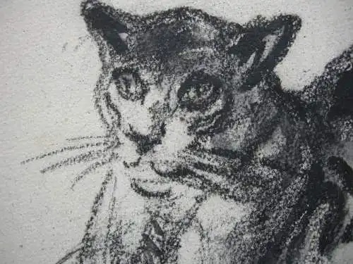 Kurt Meyer-Eberhardt (1895-1977) Liegende Katze Kohlezeichnung monogr 1950