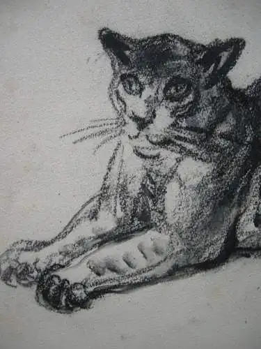 Kurt Meyer-Eberhardt (1895-1977) Liegende Katze Kohlezeichnung monogr 1950