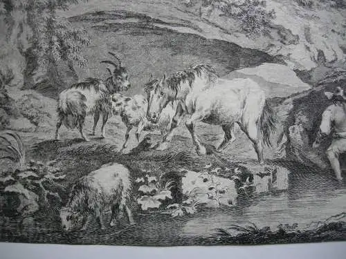 Daniel Düringer (1720-1786) Tiere mit Hirten an der Tränke Orig Kupferstich 1760