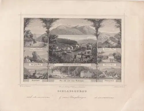 Schlangenbad Souvenirblatt Gesamtansicht Umgebung Orig Stahlstich 1850