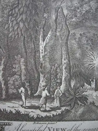 Cascade White River Jamaica Copper Plate 1783 America Page nach Robinson