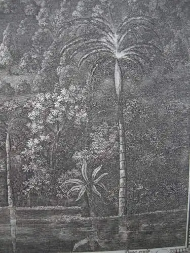 Cascade White River Jamaica Copper Plate 1783 America Page nach Robinson