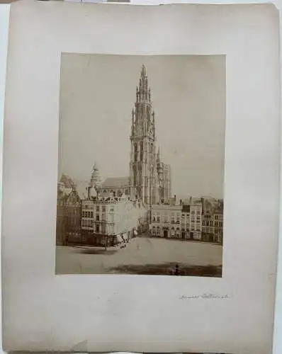 Anvers Antwerpen Belgien Belge Cathedrale  1880 Albumin Photo