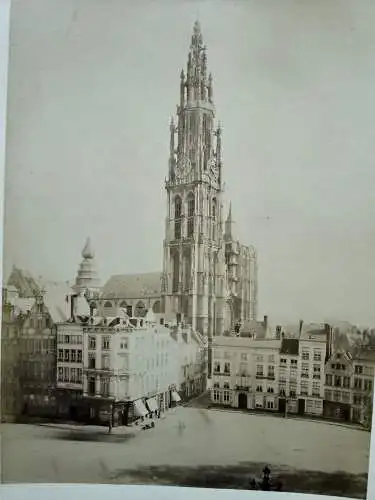 Anvers Antwerpen Belgien Belge Cathedrale  1880 Albumin Photo