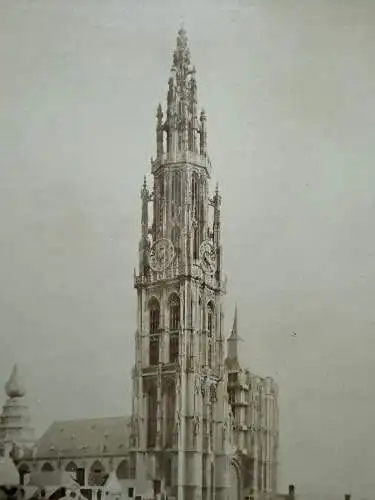 Anvers Antwerpen Belgien Belge Cathedrale  1880 Albumin Photo