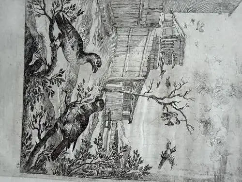 Dirck Stoop (ca. 1618-1681) Kuckuk und Falke Orig. Radierung um 1650 Ornitologie