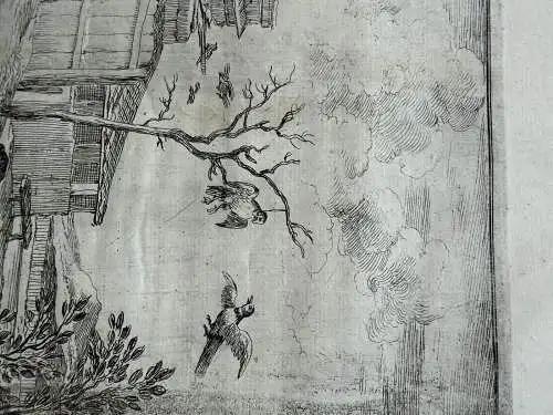 Dirck Stoop (ca. 1618-1681) Kuckuk und Falke Orig. Radierung um 1650 Ornitologie
