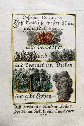 Alkolor geistl Emblemkupfer Bodenehr Gottlose brennt Wünschet Israel Rebus 1699