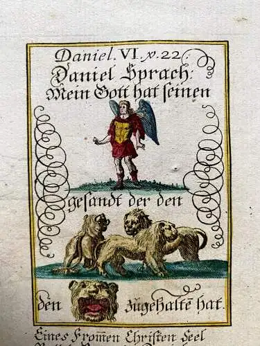 Alkolor geistl Emblemkupfer Bodenehr Memento Mori Löwen Falle Grab Rebus 1699