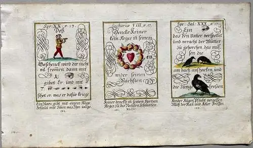 Alkolor geistl Emblemkupfer Bodenehr Narrengeschenk Rabe Adler Rebus 1699