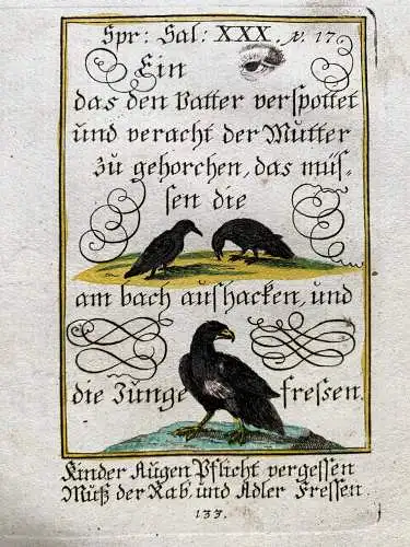 Alkolor geistl Emblemkupfer Bodenehr Narrengeschenk Rabe Adler Rebus 1699