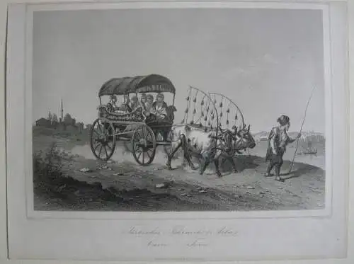 Türkei Türkisches Fuhrwerk (Arba) Orig. Stahlstich G. Pommer 1850