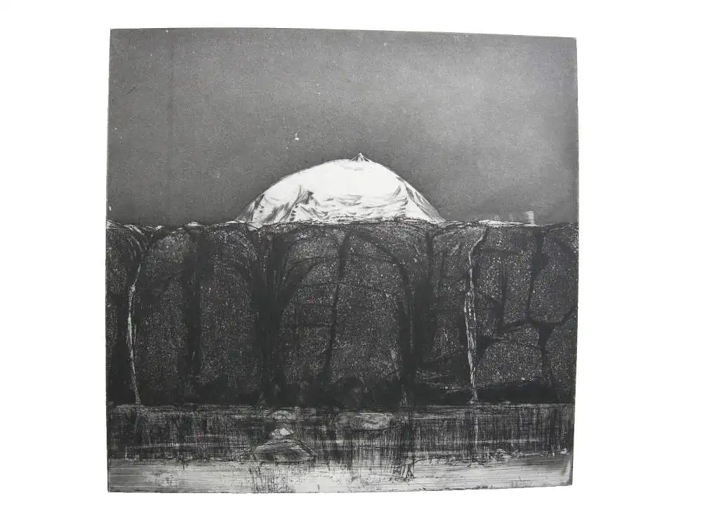 Wolfgang Werkmeister (1941) Urlandschaft Orig. Radierung 1973 signiert 6/70 1