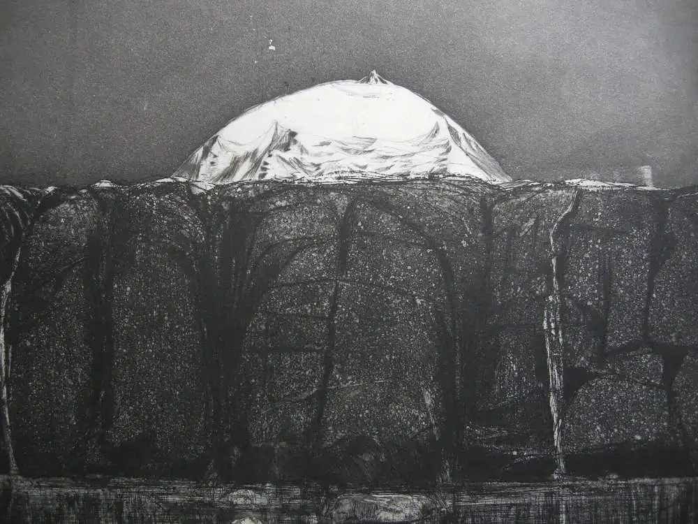 Wolfgang Werkmeister (1941) Urlandschaft Orig. Radierung 1973 signiert 6/70 2