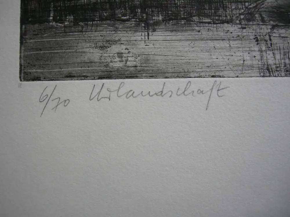 Wolfgang Werkmeister (1941) Urlandschaft Orig. Radierung 1973 signiert 6/70 3