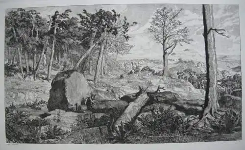 Max Klinger (1857-1920) Simplicissimus Waldeinöde 1881 Radierung Symbolismus