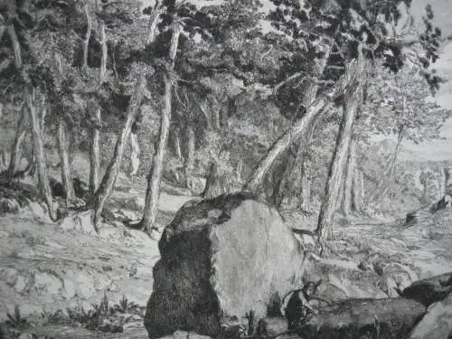 Max Klinger (1857-1920) Simplicissimus Waldeinöde 1881 Radierung Symbolismus