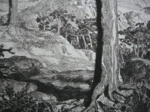 Max Klinger (1857-1920) Simplicissimus Waldeinöde 1881 Radierung Symbolismus