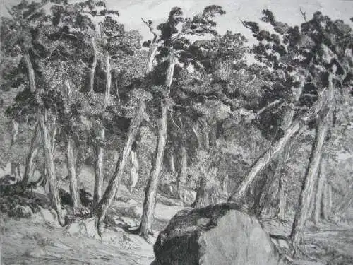 Max Klinger (1857-1920) Simplicissimus Waldeinöde 1881 Radierung Symbolismus