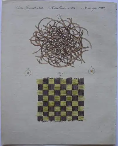 Badeschwamm Schillertaft Textile Samt Mikroskopie Kolor Kupferstich Bertuch 1800