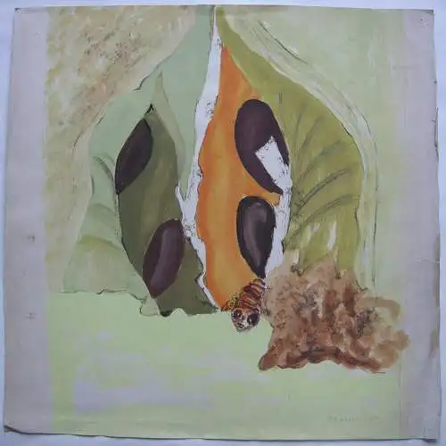 Dora Grabosch (1916-1994) Frucht mit Raupe Orig Gouache 1952 signiert 