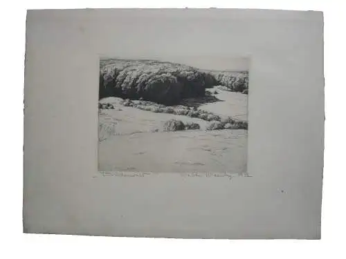 Walter Waentig (1881-1962) Buchenwald Orig. Radierung 1907 Gaienhofen signiert