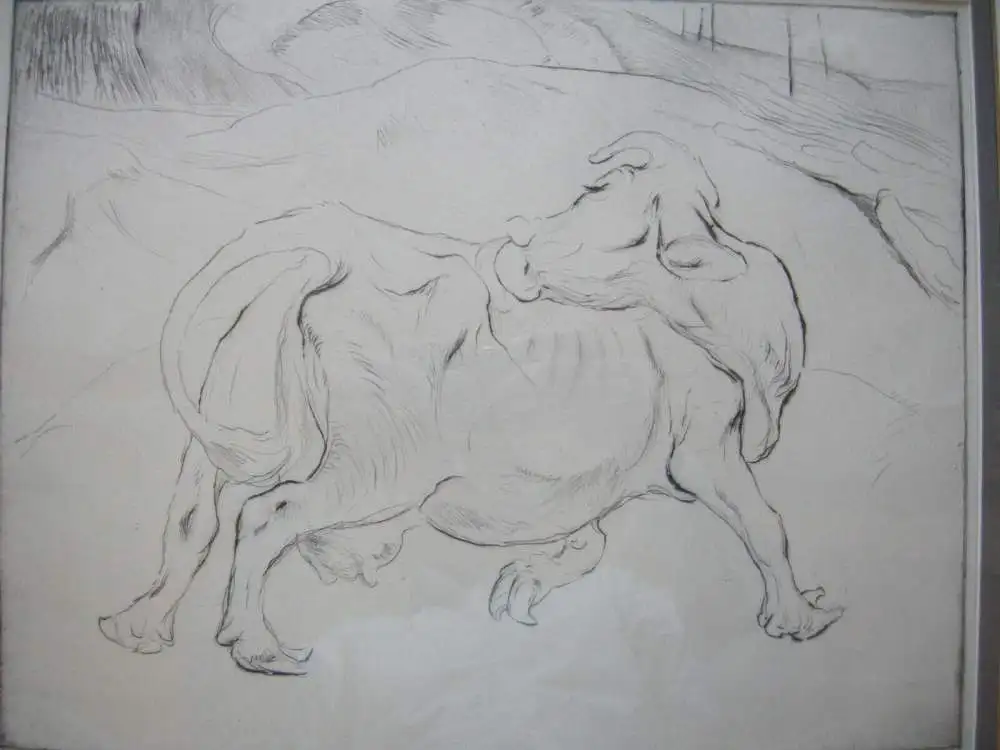 Kurt Meyer-Eberhardt (1895-1977) Sich kratzende Kuh Orig. Radierung um 1950 1