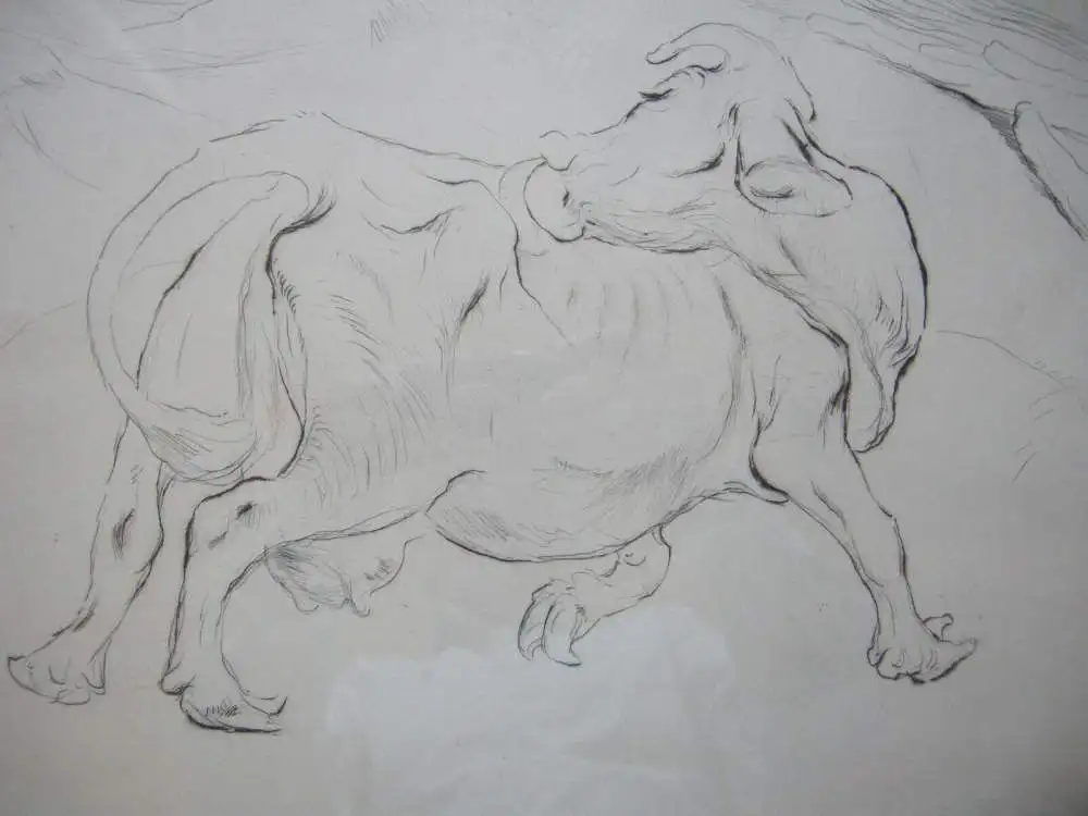 Kurt Meyer-Eberhardt (1895-1977) Sich kratzende Kuh Orig. Radierung um 1950 2