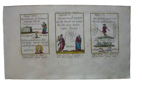 Alkolor geistl Emblemkupfer Bodenehr Elende im Lande Herde Rebus 1699