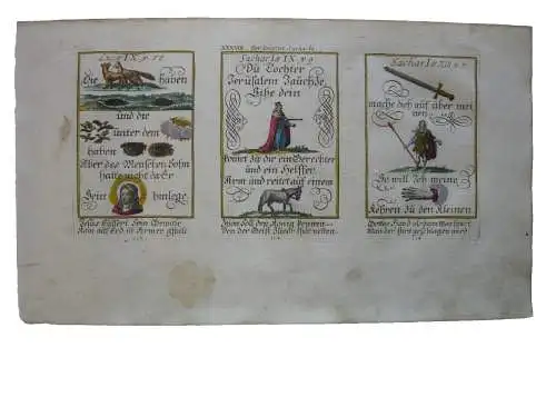 Alkolor geistl Emblemkupfer Bodenehr Tochter Jreusalems Hirte Rebus 1699