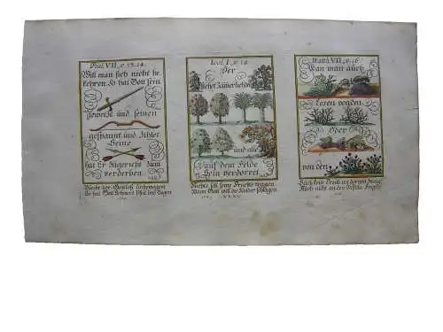 Alkolor geistl Emblemkupfer Bodenehr Gott hat sein Schwert gewetzt Rebus 1699